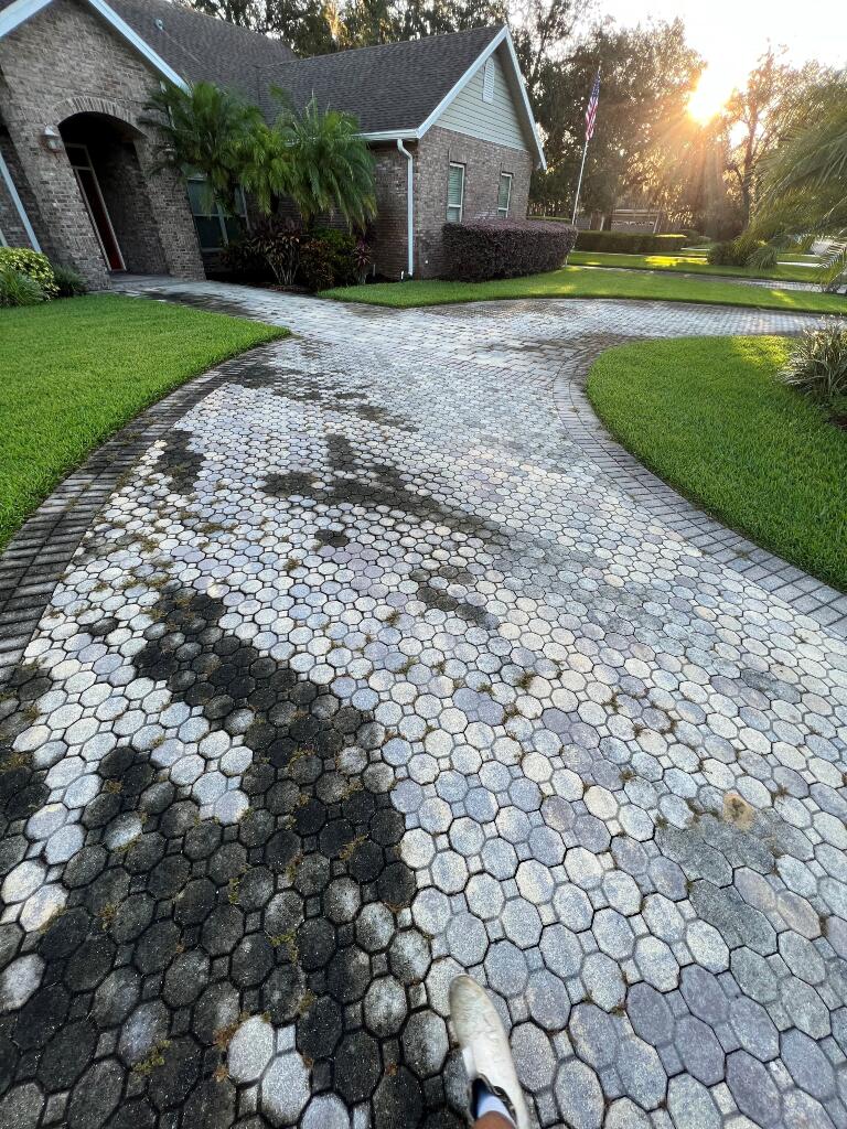 Driveway Before